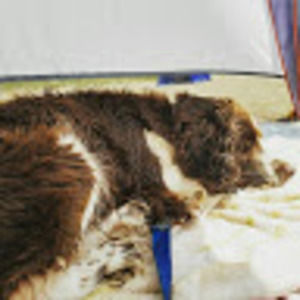 Meet your Posher, Francesca